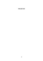 Referāts 'Smiltenes Sarkanā Krusta slimnīca', 28.