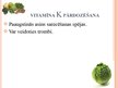 Prezentācija 'Kad vitamīni ir draugi, kad - ienaidnieki', 17.