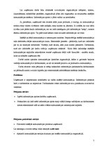 Referāts 'Iekšējās komunikācijas problēmas uzņēmumā', 3.