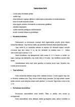 Referāts 'Būvdarbu veikšanas projekts', 11.