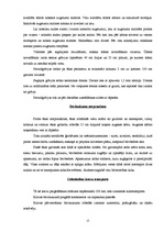 Referāts 'Būvdarbu veikšanas projekts', 12.