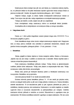 Referāts 'Būvdarbu veikšanas projekts', 17.