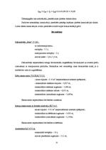 Referāts 'Būvdarbu veikšanas projekts', 32.