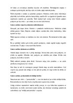Konspekts 'Ojārs Vācietis “Zibens pareizrakstība”', 14.