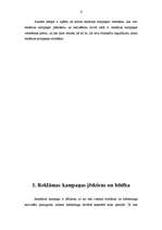 Referāts 'Reklāmas kampaņas veidošana', 4.