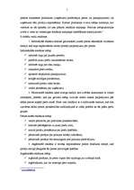 Referāts 'Reklāmas kampaņas veidošana', 5.