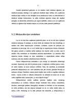 Referāts 'Reklāmas kampaņas veidošana', 9.