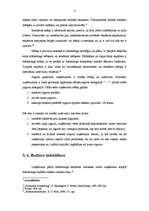 Referāts 'Reklāmas kampaņas veidošana', 11.