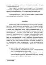 Referāts 'Kopējā lauksaimniecības politika', 13.