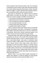 Referāts 'Naudas plūsmas pārskata analīze', 5.