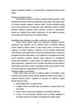 Referāts 'Naudas plūsmas pārskata analīze', 13.