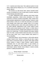 Referāts 'Naudas plūsmas pārskata analīze', 17.