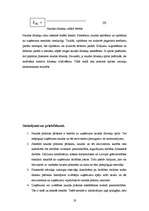 Referāts 'Naudas plūsmas pārskata analīze', 19.