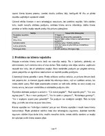 Biznesa plāns 'AI klientu atbalsta asistenta ieviešana Latvijas e-veikalā', 4.