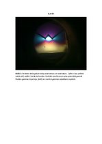 Referāts 'Gaismas polarizācija', 6.