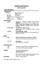 Paraugs 'Curriculum Vitae ', 1.