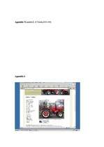 Referāts 'E-commercial Activity Analysis on www.pykett-tractors.co.uk', 17.