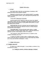 Referāts 'Līderu tipoloģija', 1.