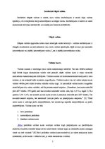 Referāts 'Valūtas sistēmas un valūtas tirgus', 7.