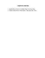 Referāts 'Komunikācijas procesi Latvijā', 6.