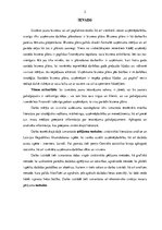 Biznesa plāns 'Biznesa plāns augstskolai', 2.