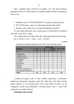 Biznesa plāns 'Biznesa plāns augstskolai', 14.