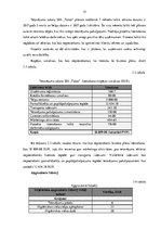 Biznesa plāns 'Biznesa plāns augstskolai', 15.