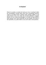 Referāts 'Automehāniķis', 13.