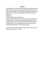 Diplomdarbs 'Parex bankas kredītpolitika', 2.