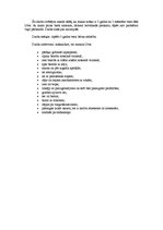 Konspekts 'Trīs gadus veca bērna attīstības izpēte', 2.