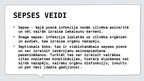 Prezentācija 'Sepse', 9.