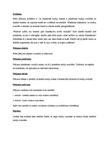 Referāts 'Studiju maksa un to kvalitāte', 2.