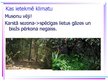 Prezentācija 'Musonu meži', 4.