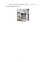 Referāts 'Izjaucamie savienojumi', 11.