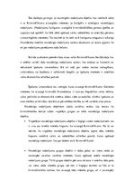 Referāts 'Noziedzīga nodarījuma objekts, priekšmets un rīks', 8.