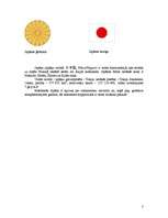 Referāts 'Suši', 3.