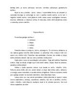 Referāts 'Personības garīgās vērtības', 12.