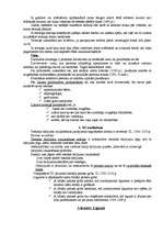 Konspekts 'Saistību tiesības', 12.