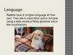 Prezentācija 'Rabbit Communication Skills', 2.