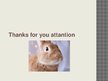 Prezentācija 'Rabbit Communication Skills', 7.