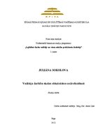 Referāts 'Vadītāja darbība skolas efektivitātes nodrošināšanā', 1.