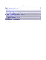 Referāts 'Vadītāja darbība skolas efektivitātes nodrošināšanā', 2.