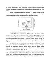 Referāts 'Vadītāja darbība skolas efektivitātes nodrošināšanā', 14.