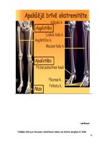 Referāts 'Pacientu ar apakšējo ekstremitāšu lūzumiem aprūpes īpatnības', 30.