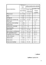 Referāts 'Pacientu ar apakšējo ekstremitāšu lūzumiem aprūpes īpatnības', 31.