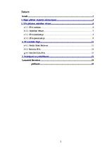 Referāts 'SPA pakalpojumi Rīgā', 2.