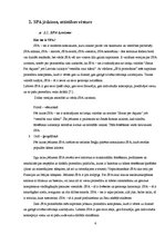 Referāts 'SPA pakalpojumi Rīgā', 6.