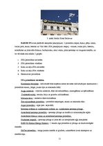 Referāts 'SPA pakalpojumi Rīgā', 12.