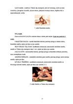 Referāts 'SPA pakalpojumi Rīgā', 17.