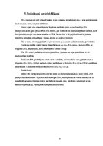 Referāts 'SPA pakalpojumi Rīgā', 18.